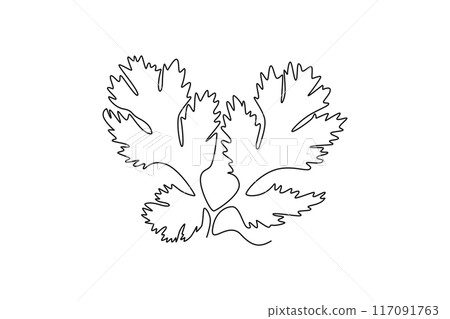 Continuous one line drawing of tied bunch healthy freshness organic raw coriander leaf for logo identity. Fresh cilantro concept for vegetable icon. Single line draw design vector graphic illustration Continuous one line drawing of tied bunch healthy freshness organic raw coriander leaf for logo identity. Fresh cilantro concept for vegetable icon. Single line draw design vector graphic illustration 117091763