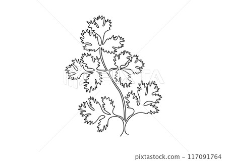 Continuous one line drawing healthy freshness organic raw coriander leaf for farm logo identity. Fresh Chinese parsley concept for vegetable icon. Single line draw design vector graphic illustration 117091764