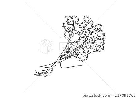 Continuous one line drawing of tied bunch healthy freshness organic raw coriander leaf for logo identity. Fresh cilantro concept for vegetable icon. Single line draw design vector graphic illustration 117091765