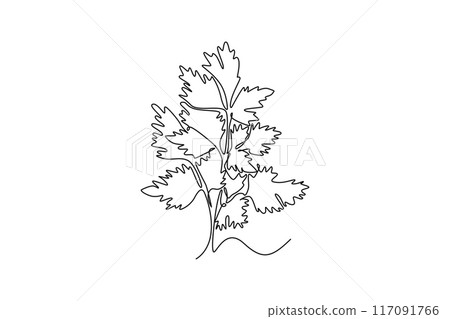 Continuous one line drawing of healthy freshness organic coriander leaf for farming logo identity. Fresh Chinese parsley concept for vegetable icon. Single line draw design vector graphic illustration Continuous one line drawing of healthy freshness organic coriander leaf for farming logo identity. Fresh Chinese parsley concept for vegetable icon. Single line draw design vector graphic illustration 117091766