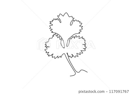 Single continuous line drawing of healthy organic coriander leaf for farming logo identity. Fresh Chinese parsley concept for vegetable icon. Dynamic one line draw graphic design vector illustration 117091767