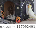 Mischievous Cockatiel 117092491