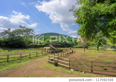 Farm scenery with autumn clear sky in the background, goats and sheep, square scenery, "Yamada Family Farm, Milk Village," Nishihara Village, Aso District 117092508