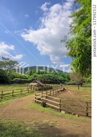Farm scenery with autumn clear sky in the background, goats and sheep, square scenery, "Yamada Family Farm, Milk Village," Nishihara Village, Aso District 117092512
