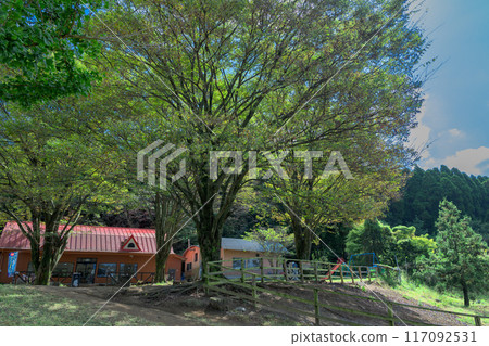 A shop building and farm and park scenery with a clear autumn sky in the background, "Yamada Family Farm Milk Village," Nishihara Village, Aso District 117092531