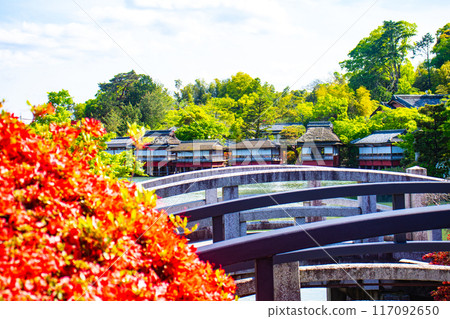 【京都風景】長岡天滿宮,霧島杜鵑花染成紅色的壯麗景色 【京都風景】長岡天滿宮,霧島杜鵑花染成紅色的壯麗景色 117092650