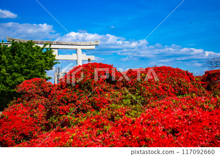 【京都風景】長岡天滿宮，霧島杜鵑花染成紅色的壯麗景色 117092660