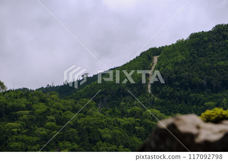 The view from Takamiishi in the Moss Forest [Yachiho Plateau in the North Yatsugatake Mountains] Nagano Prefecture 117092798