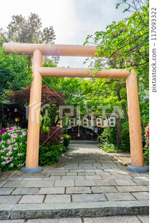 Torii gate at Horikoshi Shrine (one of Shitennoji's Seven Shrines), Chausuyama-cho, Tennoji-ku, Osaka Torii gate at Horikoshi Shrine (one of Shitennoji's Seven Shrines), Chausuyama-cho, Tennoji-ku, Osaka 117093322