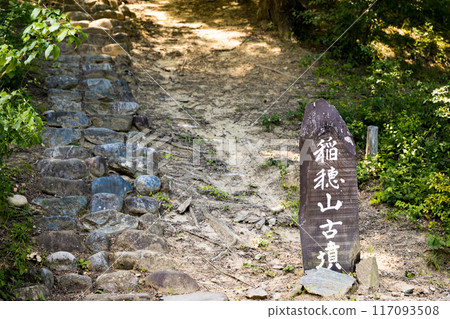 Saitama Prefecture Minano Town, Rose of Sharon Natural Park, Inahoyama Tomb Saitama Prefecture Minano Town, Rose of Sharon Natural Park, Inahoyama Tomb 117093508
