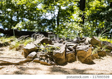 埼玉縣皆濃町、穆庫格自然公園、稻穗山古墳 埼玉縣皆濃町、穆庫格自然公園、稻穗山古墳 117093509