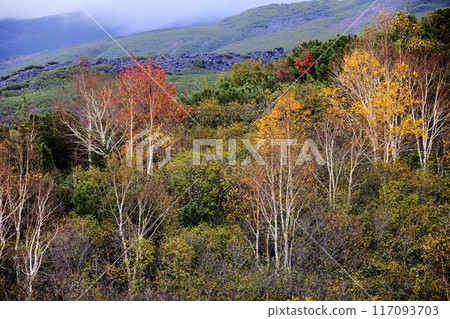 The fall hall of autumn 117093703