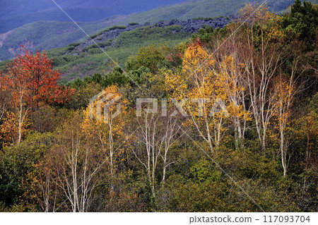 The fall hall of autumn 117093704