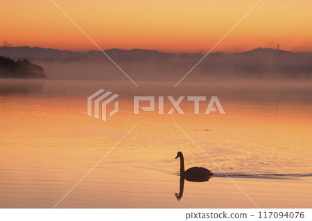 Dawn of Lake Utonai 117094076