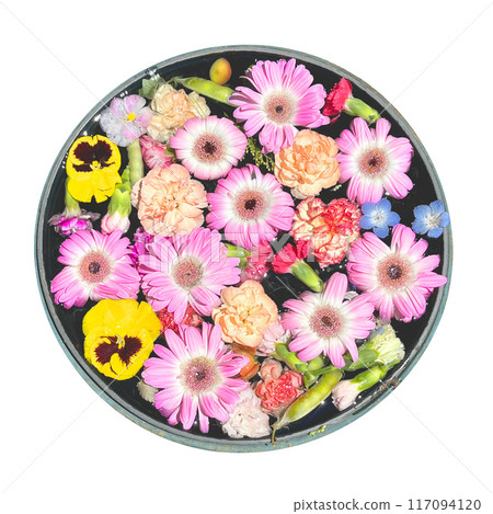 花長嘴剪紙素材 117094120