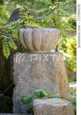 The moss has been removed and the water basin is clean. The moss has been removed and the water basin is clean. 117094292