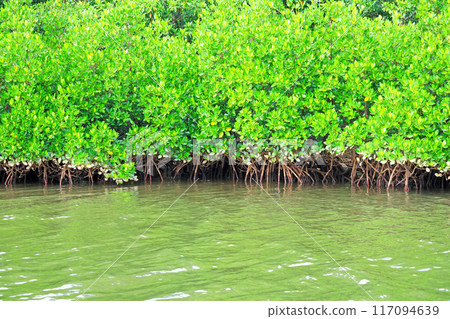 仲間川巡遊 117094639