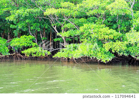 Nakama River Cruising Nakama River Cruising 117094641