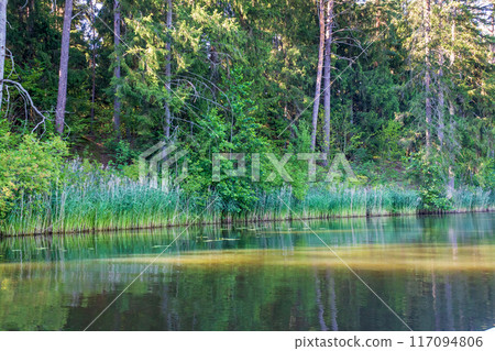 Landscape of forest and river on a sunny summer day Landscape of forest and river on a sunny summer day 117094806