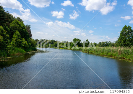 Landscape of forest and river on a sunny summer day Landscape of forest and river on a sunny summer day 117094835