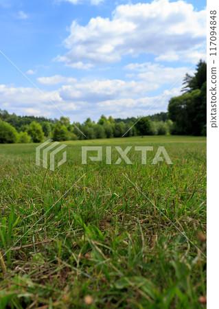 Landscape of forest and river on a sunny summer day Landscape of forest and river on a sunny summer day 117094848