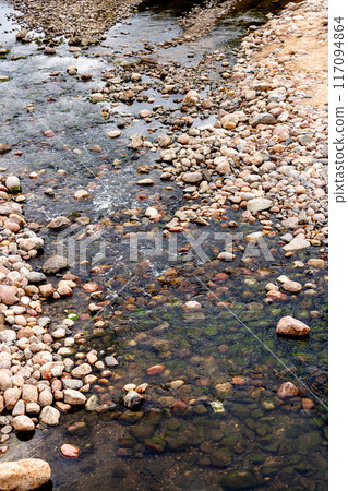 Landscape of forest and river on a sunny summer day  Landscape of forest and river on a sunny summer day  117094864