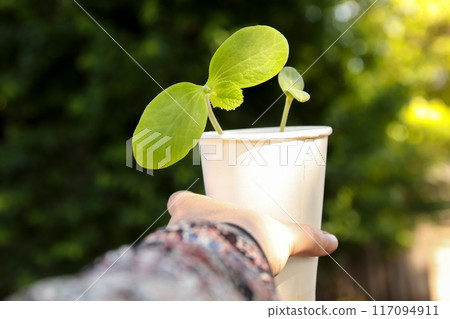 Hand holding a plant in a paper container, sustainable agriculture concept, eco-friendly. Environmental awareness campaigns, green technology ads, or organic farming promotions Hand holding a plant in a paper container, sustainable agriculture concept, eco-friendly. Environmental awareness campaigns, green technology ads, or organic farming promotions 117094911