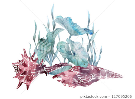 Watercolor and ink hand drawn marine life, sea ocean underwater creatures. fish, shells algae seaweed. Composition illustration, stylized, isolated on white. For zoo shop, aquarium, cosmetics, resort Watercolor and ink hand drawn marine life, sea ocean underwater creatures. fish, shells algae seaweed. Composition illustration, stylized, isolated on white. For zoo shop, aquarium, cosmetics, resort 117095206