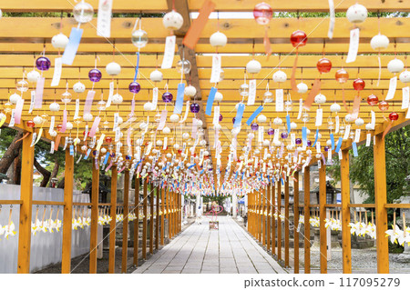 夏季參拜宮城縣岩沼市竹駒神社 117095279