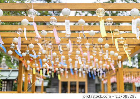 Summer Takekoma Shrine, approach to the shrine, summer pilgrimage, Iwanuma City, Miyagi Prefecture Summer Takekoma Shrine, approach to the shrine, summer pilgrimage, Iwanuma City, Miyagi Prefecture 117095285