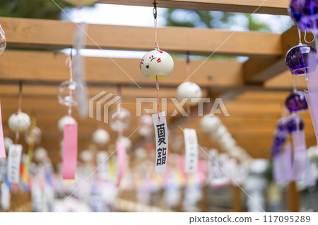 Summer Takekoma Shrine, approach to the shrine, summer pilgrimage, Iwanuma City, Miyagi Prefecture Summer Takekoma Shrine, approach to the shrine, summer pilgrimage, Iwanuma City, Miyagi Prefecture 117095289