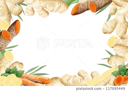 Ginger and Turmeric roots horizontal frame banner illustration isolated on white background for label designs. Raw spicy vegetable template with copy space Ginger and Turmeric roots horizontal frame banner illustration isolated on white background for label designs. Raw spicy vegetable template with copy space 117095449