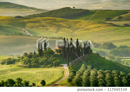 Val d'Orcia, Tuscany. Podere in San Quirico d'Orcia, beautiful spring tuscan landscape in Italy. 117095539
