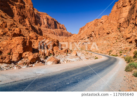 Todgha Gorge, Morocco. Wadi (limestone river canyons) in the eastern part of the High Atlas Mountains, North Africa 117095640