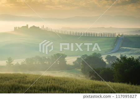 Val D'Orcia, Tuscany, Italy. Tranquil morning fog and typical Tuscan landscape in countryside, cypress trees. 117095827