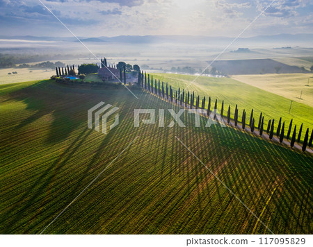 Tuscany, Italy. Tranquil morning fog and typical Tuscan landscape in countryside, cypress trees. 117095829