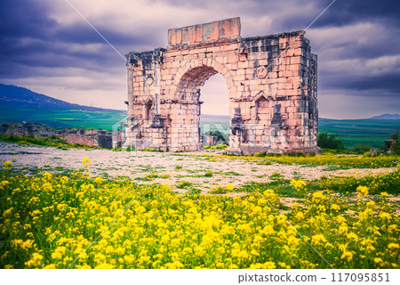 Volubilis, Morocco. Ancient city, Roman Empire province of Mauretania. 117095851