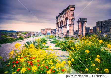 Volubilis, Morocco. Ancient city, Roman Empire province of Mauretania. 117095852