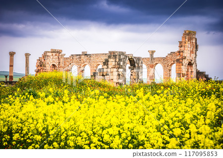 Volubilis, Morocco. Ancient city, Roman Empire province of Mauretania. 117095853