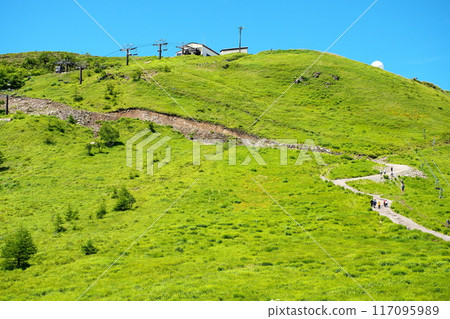 The hiking trail to the top of Mt. Kurumayama 117095989