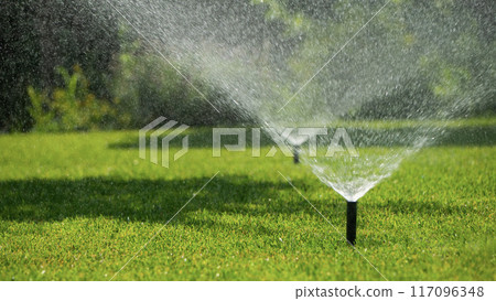 Multiple sprinklers watering a lush green lawn on a sunny day Multiple sprinklers watering a lush green lawn on a sunny day 117096348