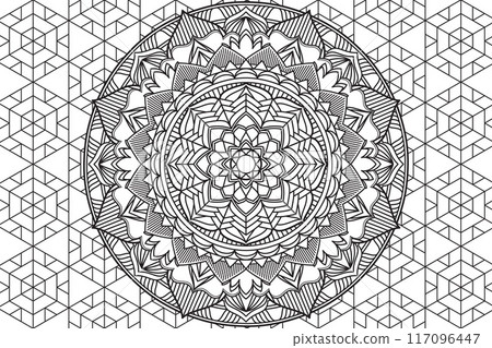Mandala Coloring page for kids and adults Circular pattern.  117096447
