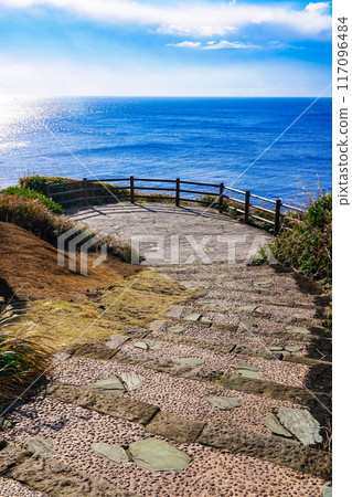 Sea view from Jogashima, Jogashima Park (Miura City, Kanagawa Prefecture) 117096484