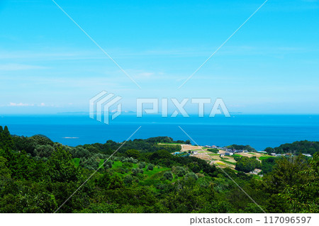 從牛窗橄欖園眺望瀨戶內海的夏日風景 2 岡山縣瀨戶內市 117096597