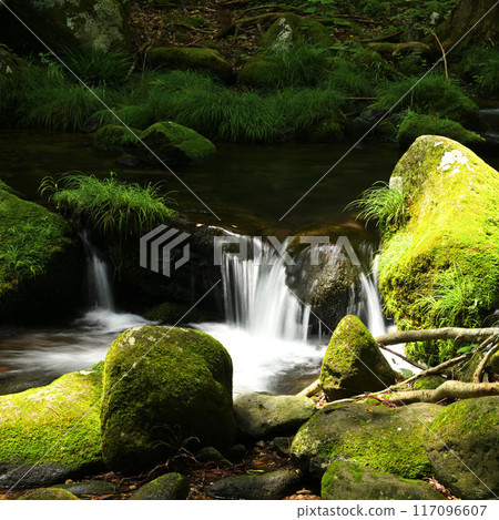 Summer mountain stream Summer mountain stream 117096607