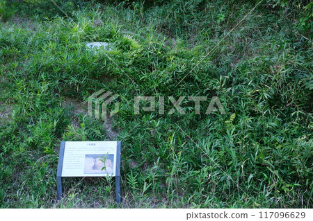 Kanpu Ancient Kiln Site No. 3, Setouchi City, Okayama Prefecture 117096629
