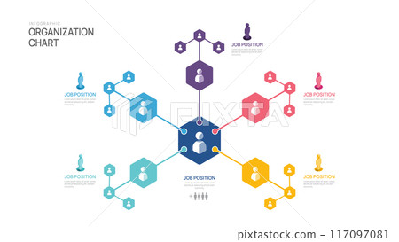 organization chart Infographic template with business avatar icons. vector infographic for business. 117097081