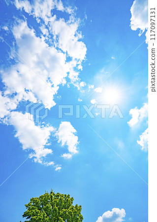 夏天的雲、樹木和陽光 117097131