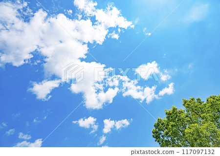 夏天的雲和樹 夏天的雲和樹 117097132