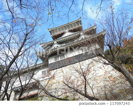 一座城堡 一座城堡 117097243